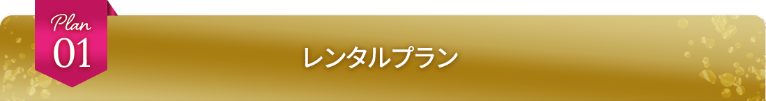 レンタルプラン