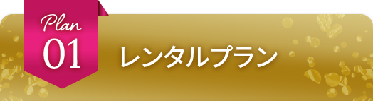 レンタルプラン
