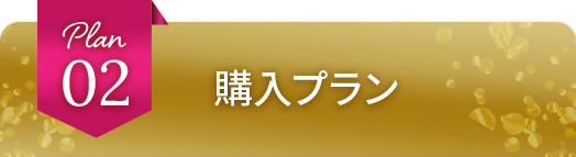 購入プラン