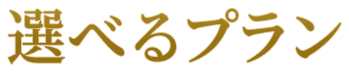 選べるプラン