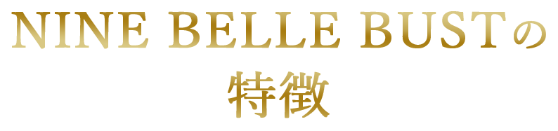 NINE Belle Bustの特徴